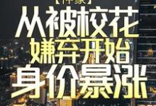寻找能够免费阅读神豪:从被校花嫌弃开始身价暴涨小说的平台-红梅文学