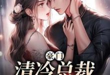 豪门：清冷总裁放肆宠小说，豪门：清冷总裁放肆宠在线阅读-红梅文学