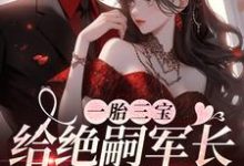 一胎三宝,给绝嗣军长来点震撼小说,一胎三宝,给绝嗣军长来点震撼在线阅读-红梅文学