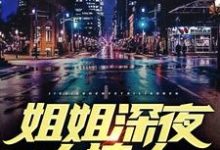 姐姐深夜太撩人小说有没有完结版在线?-红梅文学