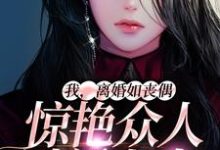 《我,离婚如丧偶,惊艳众人过新人生》小说大结局免费试读 桑知语沈辞小说-红梅文学