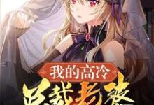 我的高冷总裁老婆小说全文阅读需要付费吗?寻找免费资源-红梅文学