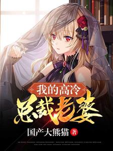 我的高冷总裁老婆小说全文阅读需要付费吗？寻找免费资源
