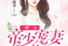 一婚二宝:帝少宠妻无节制小说最新章节在哪里可以读到?-红梅文学