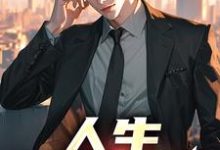 免费看人生,易如反掌小说的网站有哪些?-红梅文学