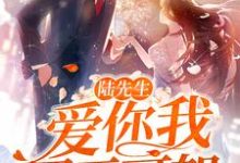 在线寻找陆先生,爱你我罪无可恕小说的无删减版本-红梅文学