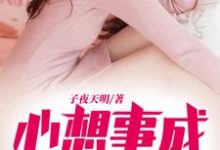 心想事成系统小说有没有完结版在线?-红梅文学