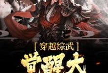 主角叫顾宇轩小说穿越综武,觉醒大反派系统章节免费阅读-红梅文学
