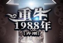 已完结小说《重生1988年》章节免费阅读-红梅文学