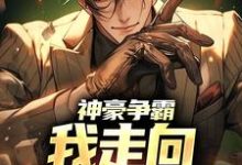神豪争霸:我走向赛季巅峰(叶枫新丨叶公子)在线免费阅读-红梅文学