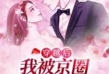 穿越后,我被京圈太子爷爆宠了小说,穿越后,我被京圈太子爷爆宠了章节在线阅读-红梅文学