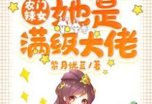 在线寻找元浅慕容擎深的小说,农门辣女:肥婆弃妇她是满级大佬免费阅读-红梅文学