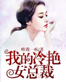 我的冷艳女总裁小说，我的冷艳女总裁章节在线阅读