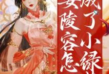 小说《重生:安陵容怎么成了小绿茶》章节免费阅读-红梅文学