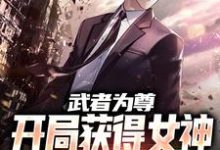 完整版的武者为尊:开局获得女神顶级祝福小说在哪里可以免费读到?-红梅文学