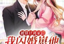 小说《被算计离家后,我闪婚崽他豪门亲爹》在线章节阅读-红梅文学