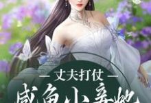 哪里可以免费读到白漾漾肃王的完整故事?寻找丈夫打仗,咸鱼小妾她被迫勾心斗角-红梅文学