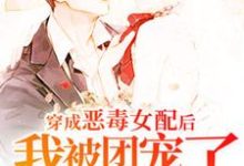 穿成恶毒女配后我被团宠了小说全文哪里可以免费看?-红梅文学