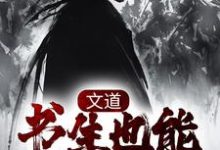李长安安南栀为主角的小说叫什么?免费看文道:书生也能破万军-红梅文学