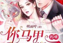 妈咪，你马甲又被爆了这本小说怎么样？免费在线阅读试试-红梅文学