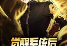 小说《觉醒系统后,我半月就被保送》章节阅读-红梅文学