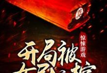 《惊悚游戏:开局被女尸拉棺》小说章节列表免费试读,苏云小说在线阅读-红梅文学