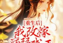 男女主人公叫慕容珩沈若惜的小说免费资源-红梅文学