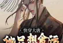 快穿大唐，他只想贪污腐败享人生章节免费在线阅读，李想完结版-红梅文学