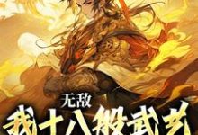 陆通小说在哪里可以看-红梅文学