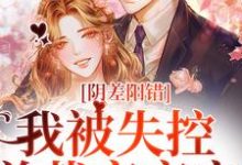 求阴差阳错,我被失控总裁夜夜宠小说免费资源-红梅文学