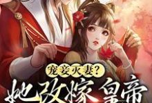 宠妾灭妻?她改嫁皇帝生皇子这本小说在哪里可以看?哪里有免费试读章节?-红梅文学