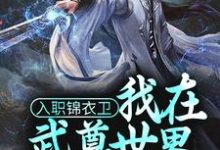 林枭为主角的小说好看吗？求入职锦衣卫，我在武尊世界为朝廷效力免费试读-红梅文学