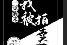 免费看一觉醒来,我被拍卖了小说的网站有哪些?-红梅文学