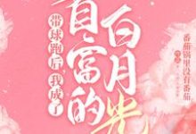 霸总歇歇吧,夫人都走三年了小说阅读,霸总歇歇吧,夫人都走三年了完结版-红梅文学