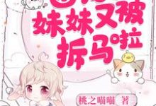 主角叫黎枝封奕的小说在哪阅读-红梅文学