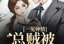 完结版《一见钟情,总贼被戏耍了》章节阅读-红梅文学