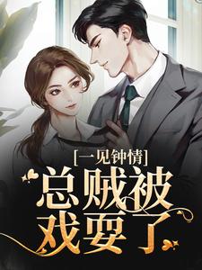 完结版《一见钟情，总贼被戏耍了》章节阅读
