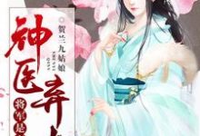 完结版《神医弃女,将军是妻奴》免费阅读-红梅文学