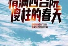 《情满四合院:傻柱的春天》小说章节列表免费试读,何雨柱傻柱小说在线阅读-红梅文学