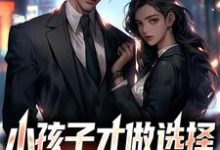 陈风为主角的小说小孩子才做选择,美女我全都要在线阅读-红梅文学