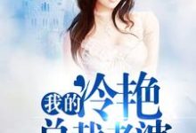 已完结小说《我的冷艳总裁老婆》章节在线阅读-红梅文学
