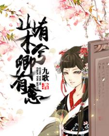 孟灵犀沈志清小说《山有木兮卿有意》在线阅读