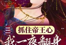 《抓住帝王心,我一夜翻身成宠妃》全集免费在线阅读(沈芙萧煜)-红梅文学