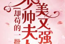 完结版《少帅夫人美又强,却苟的一批》章节阅读-红梅文学