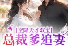 空降天才双宝,总裁爹追妻太疯狂免费阅读,空降天才双宝,总裁爹追妻太疯狂黎米京廷-红梅文学
