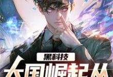 黑科技:大国崛起从改飞船说起农泽在线章节免费阅读-红梅文学