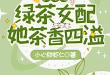 完整版的快穿之绿茶女配她茶香四溢小说在哪里可以免费读到?-红梅文学