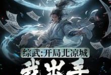 陈楚生是哪本书的主角?寻找综武:开局北凉城,我出手解救郡主免费阅读-红梅文学