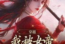 穿越,我被女帝抢了反派身份免费阅读,穿越,我被女帝抢了反派身份章节在线阅读-红梅文学