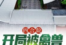 四合院:开局被禽兽们搬空家小说的免费阅读版本在哪里可以找到?-红梅文学